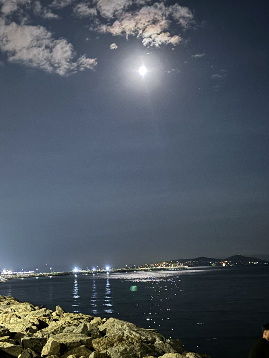 MISRA (@gul_misra34) on Twitter photo 