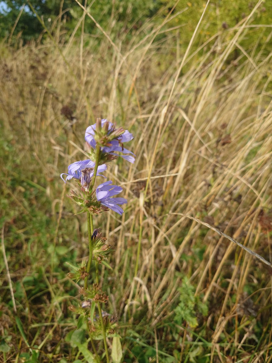 Slayer 🗡️💜🖤 tweet media