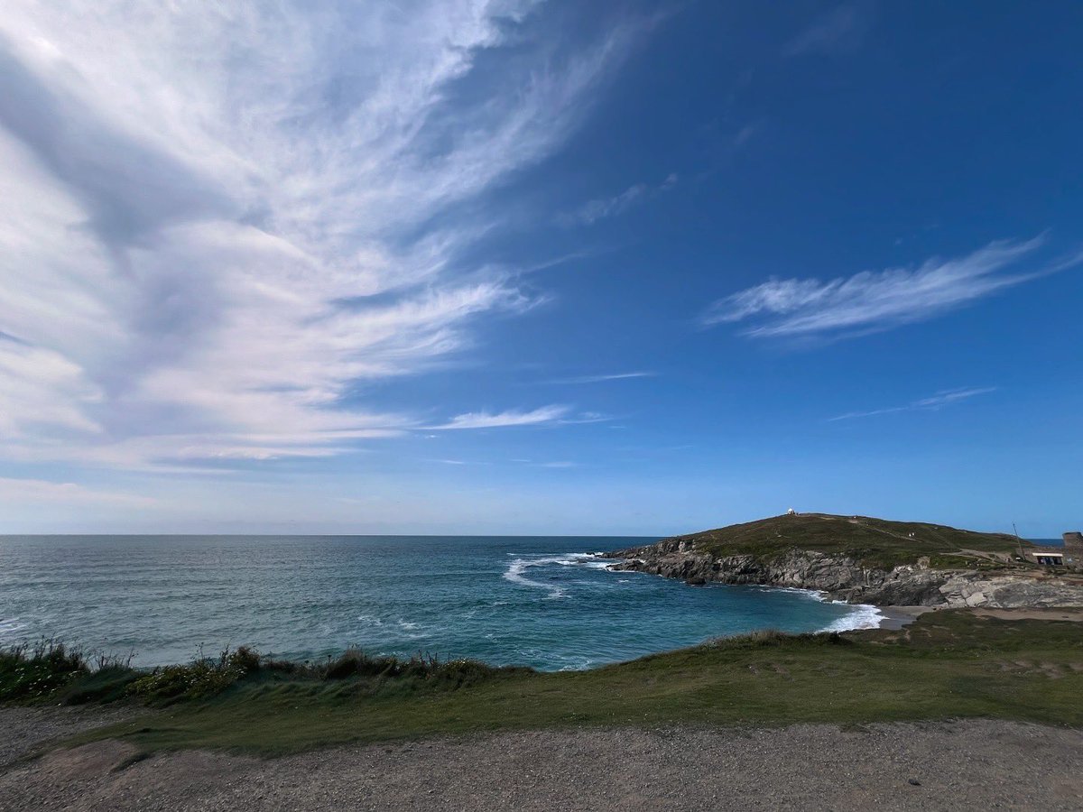 Kelly Cherry tweet media