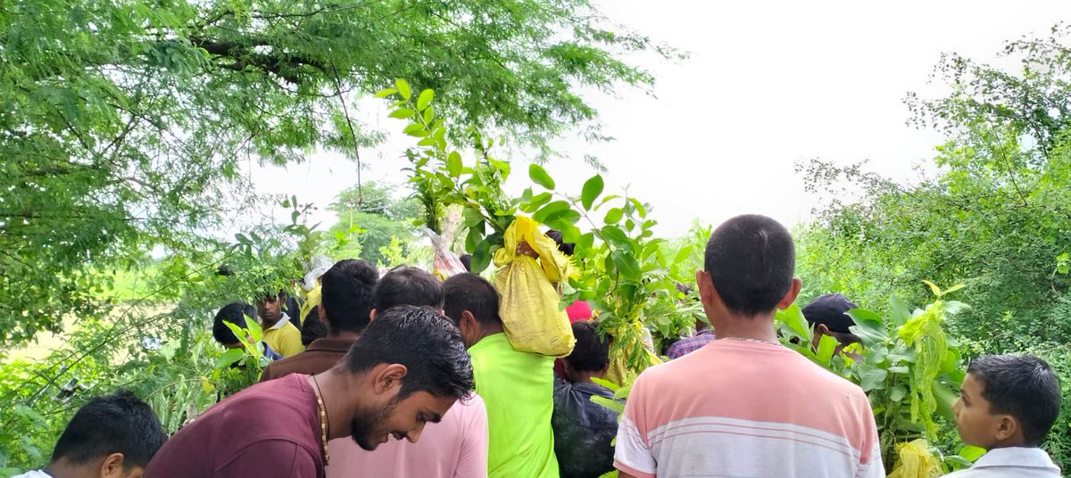KhushhaliF's tweet photo. #4th_plants_distribution_camp under “वृक्ष मित्र-ग्राम मित्र अभियान-2024” was organised at Bal Vidhya Mandir, Naga Hardayal Javara Maant, #Mathura on August 16th. A total of #4000_fruit_saplings were distributed to 394 villagers of that area. 
#KhushhaliFounndation 
@yaduajay https://t.co/qw7F7zDkAo