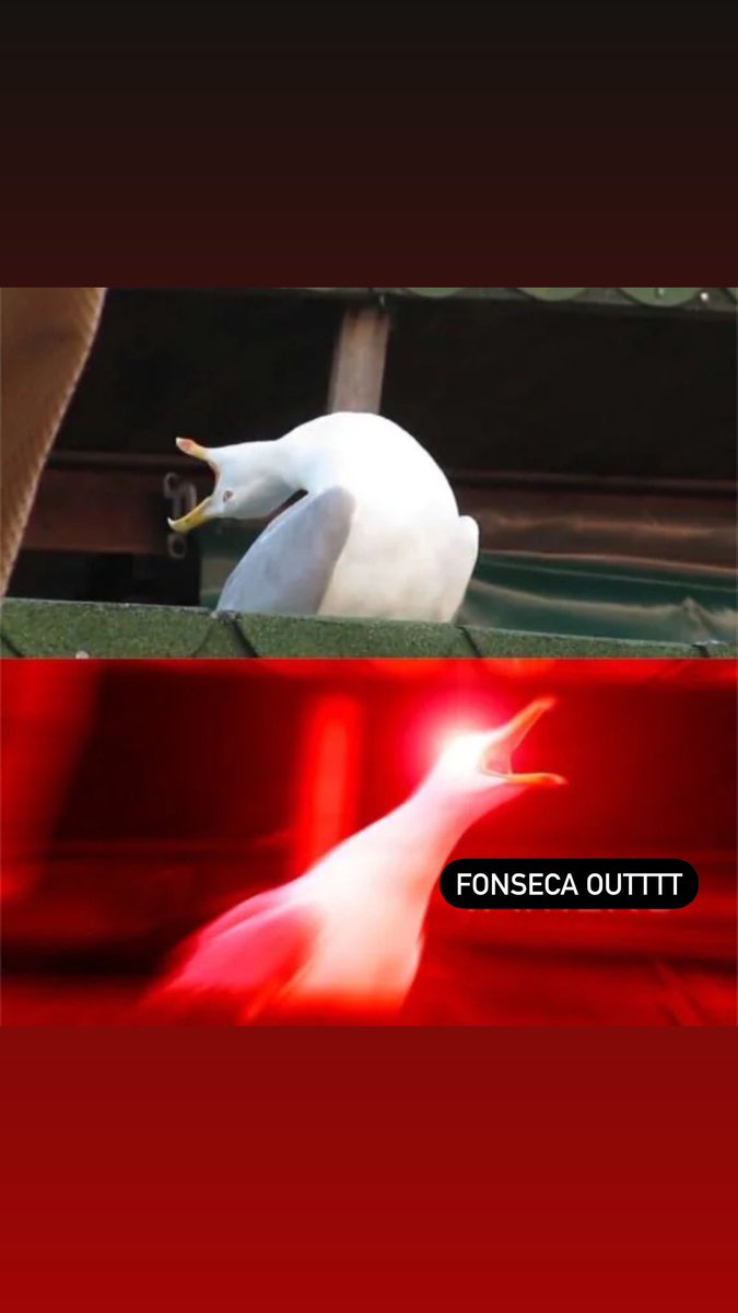 Olly Full tweet media