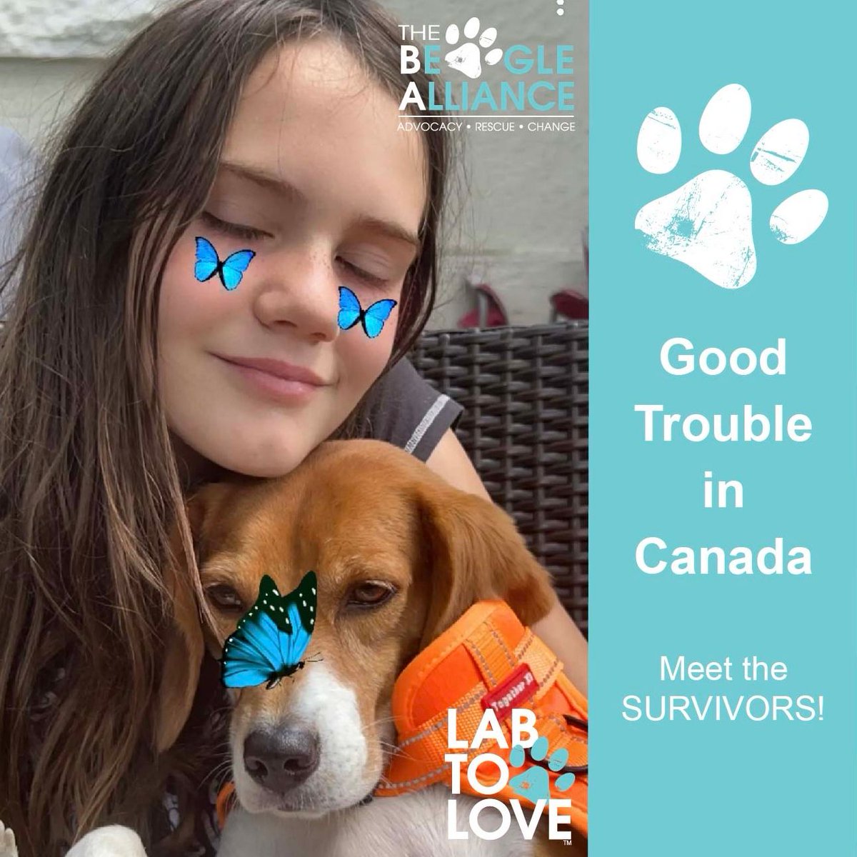 Happy Weekend!

Meet Pam.

Named after a Canadian celeb who loves and advocates for the animals.

Settling in after years in a laboratory, Pam is making her own mark with her awesome fosters!

Guess who? (1)