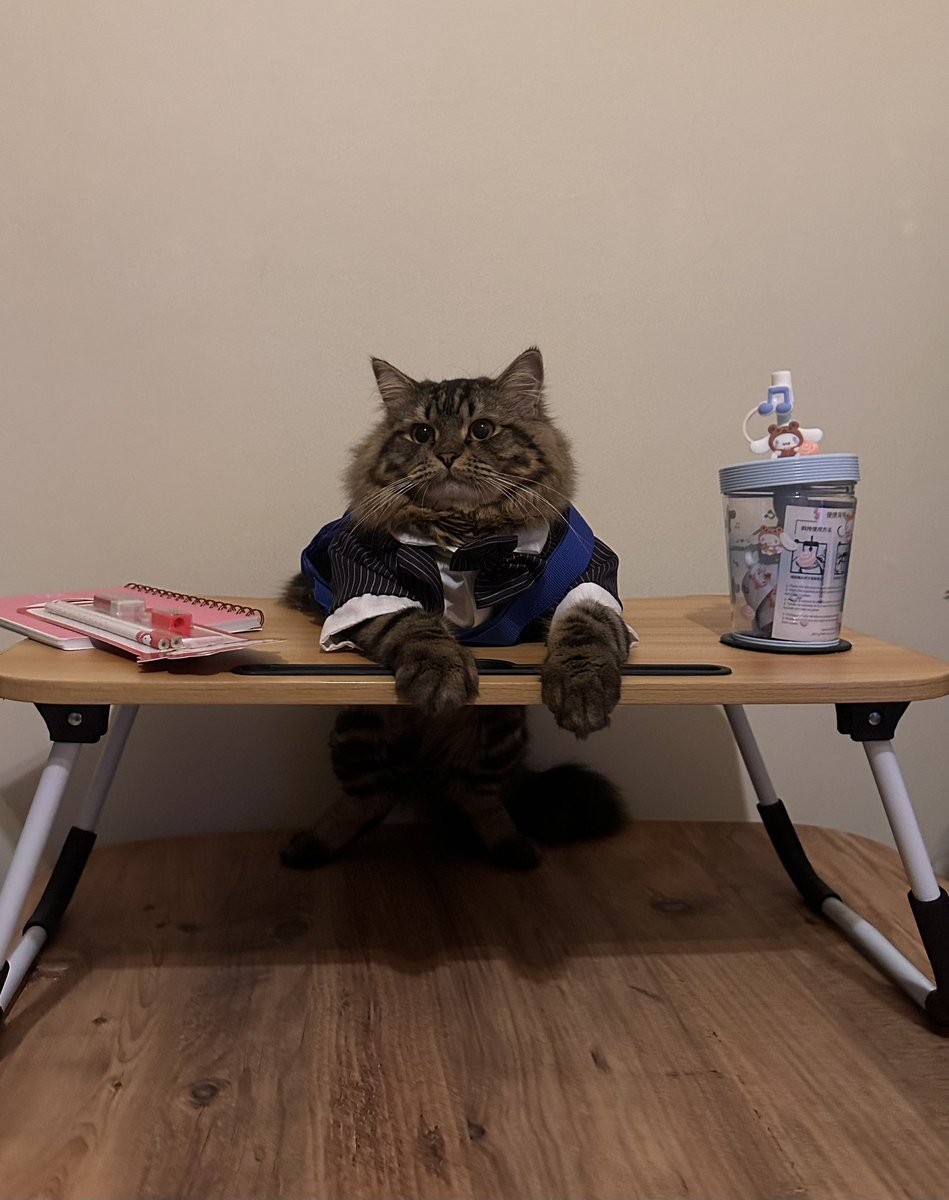 saysgoogie's tweet image. عام مميز في حياة قرة عيني..
سيبدأ اميري الصغير مشواره الأول بالروضة
بارك الله فيه وفي أول خطواته
اللهم اجعل بدايته بدايه موفقه 
ودروبه ميسره…