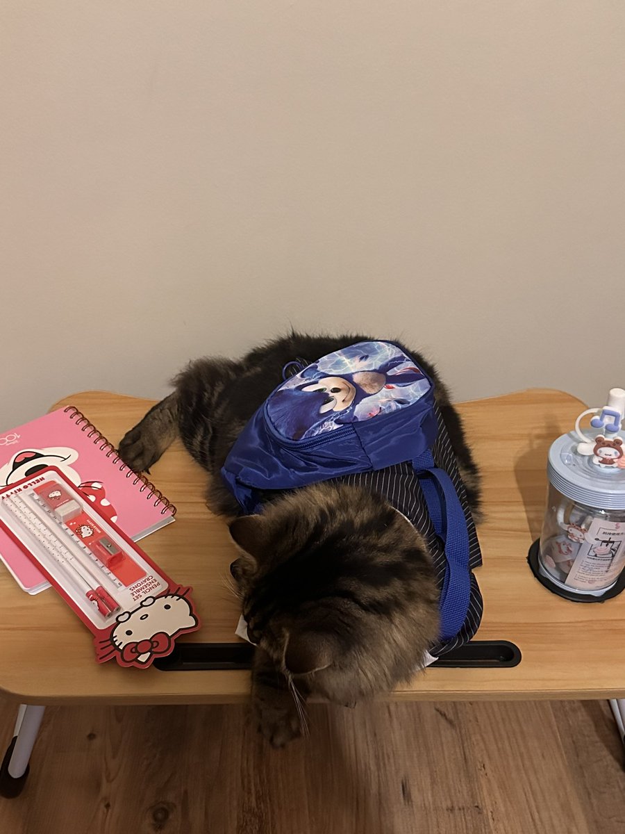 saysgoogie's tweet image. عام مميز في حياة قرة عيني..
سيبدأ اميري الصغير مشواره الأول بالروضة
بارك الله فيه وفي أول خطواته
اللهم اجعل بدايته بدايه موفقه 
ودروبه ميسره…