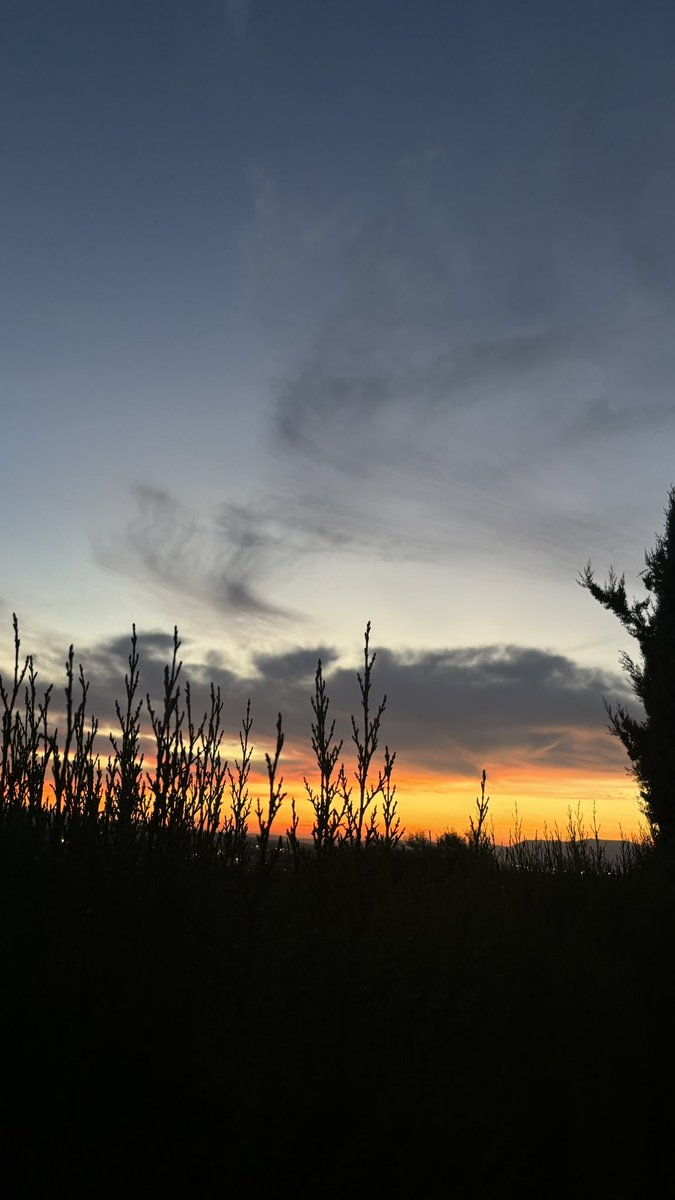juliaabnz07's tweet photo. Que bonito es el cielo….☀️ https://t.co/5l4vyFqXqg