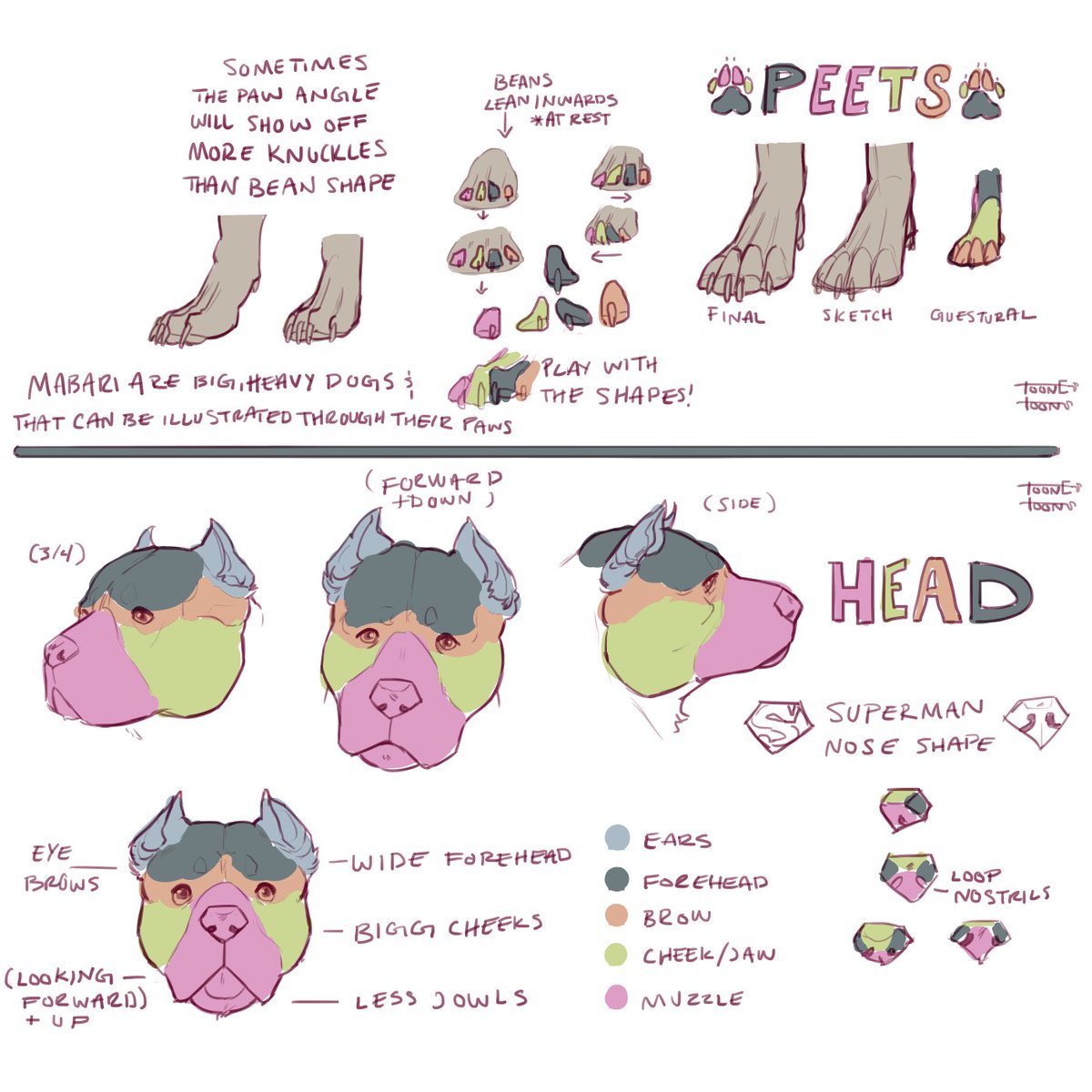 ToonesToons's tweet image. someone on tumblr asked about how I draw mabari, so I made a super simple n sloppy how to