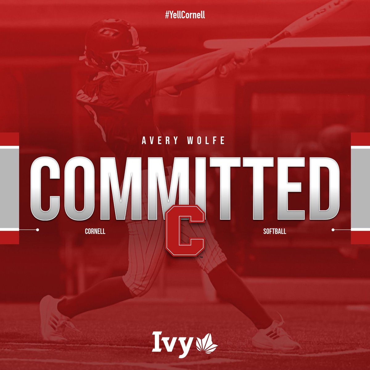 averykwolfe's tweet photo. #YELLCORNELL 🐻❤️ @CornellSoftball @papiosoftball @NebraskaGold @NEGoldDeMontel https://t.co/KsNGDGVRrr