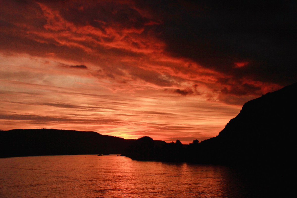 Michael Sadgrove 🇪🇺 tweet media