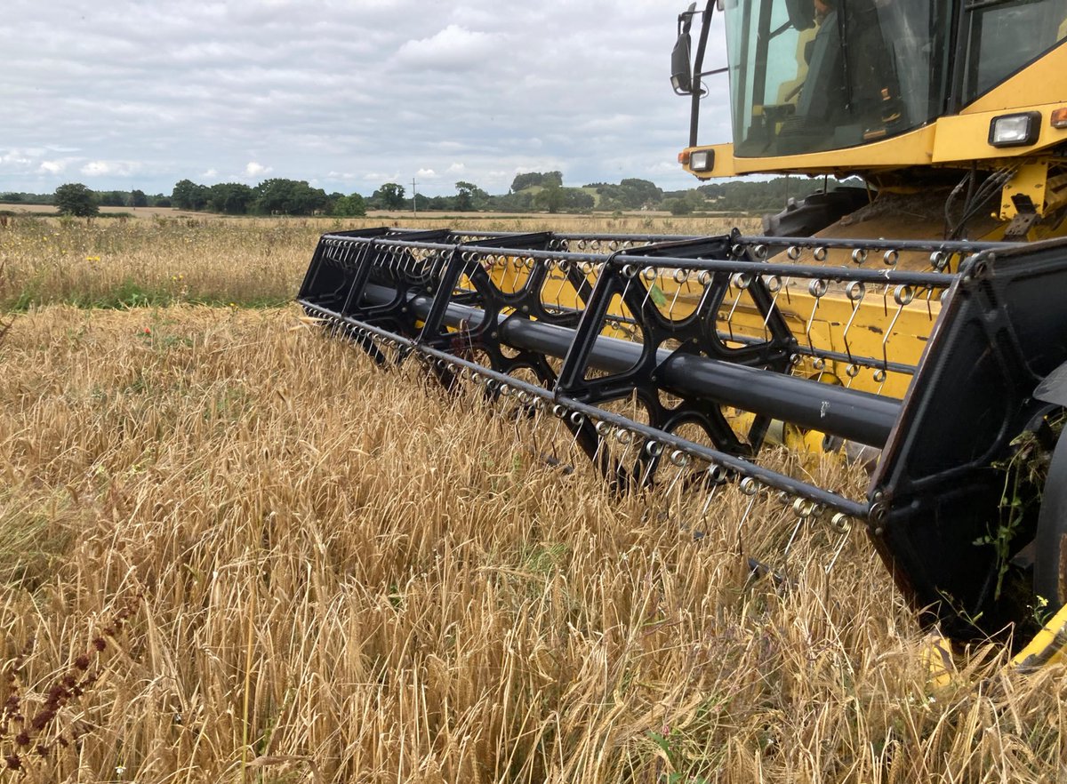 Mark Lea tweet media