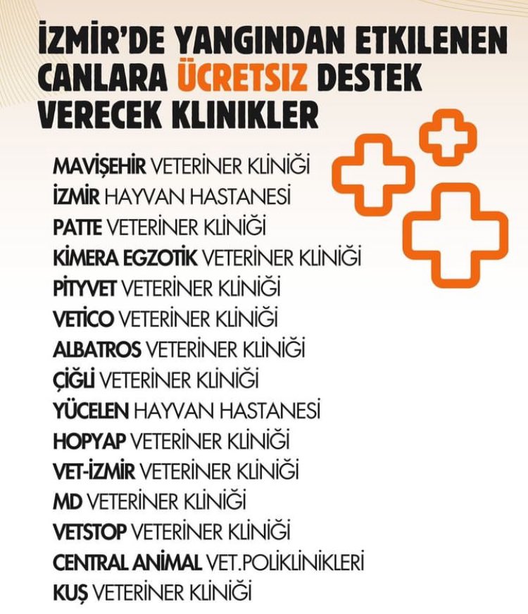 nichacunt's tweet photo. GLOBAL CALL FOR TURKEY
Fire broke out all over Turkey.
We need help.
#izmiryanıyor #izmir #GlobalCallForTurkey #İZMİRYANIYOR #BOLUYANIYOR #AYDINYANIYOR #MUĞLAYANIYOR #ANTALYAYANIYOR #DİDİMYANIYOR #BOZDOĞANYANIYOR #helpforturkey #PlayForTurkey #GLOBALCALLFORTURKEY https://t.co/X5qhpgVI4y