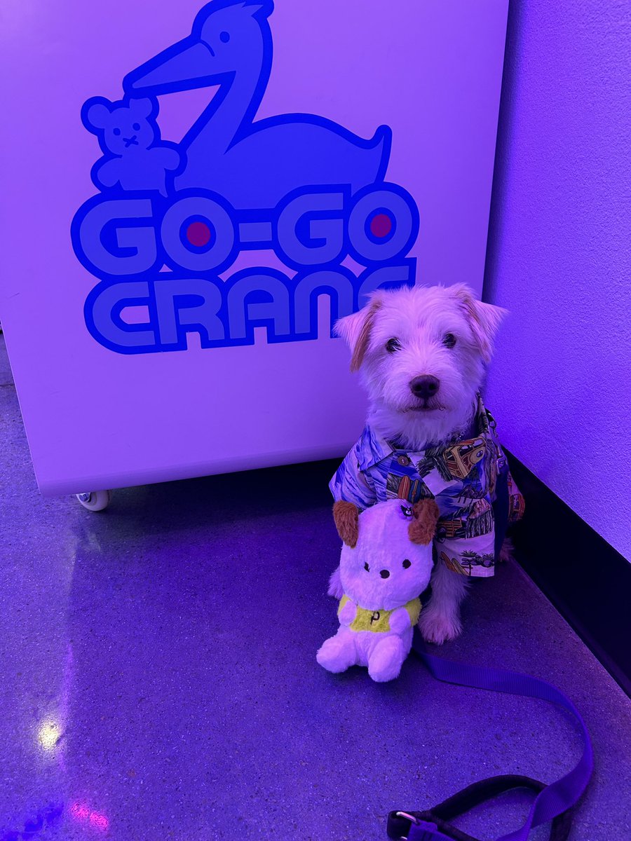I won myself a stuffy at “Go Go Crane” today! 
~ Deke🐾
#TherapyDog
#PawYouNeedIsLove
#GoGoCrane
#DekeOnTheTown