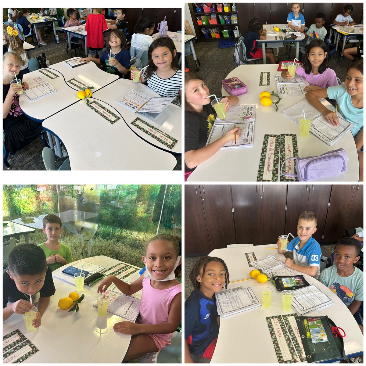 Esmeralda Reyna, M.Ed. tweet media