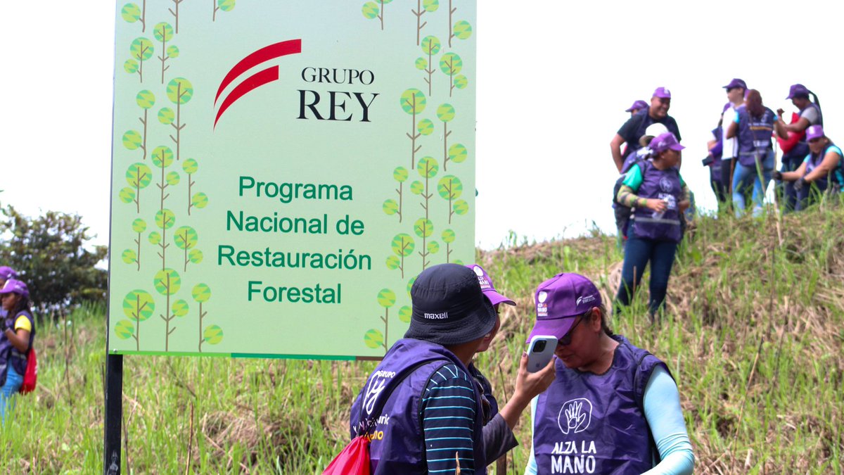 Grupo Rey Panamá tweet media