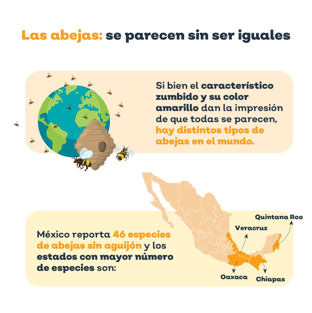 ¡Feliz Día Nacional de las #Abejas! 🐝 
Queremos recordarte lo valiosas que son estas polinizadoras. 

Sin embargo, pueden ser vulnerables a diversas enfermedades y es fundamental que los apicultores sepan identificar sus signos de enfermedad o infección en colmenas. 
1/2