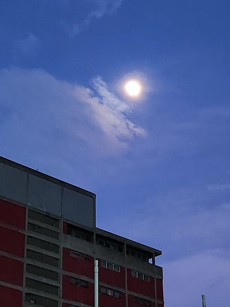 CeeReO2Ve's tweet image. Luna,  tu que la ves...