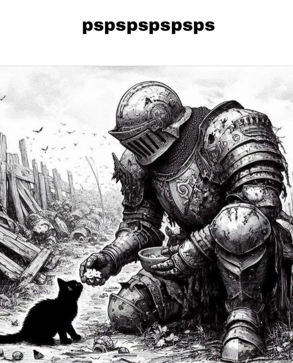 Catsillyness's tweet image. pspspspspsp