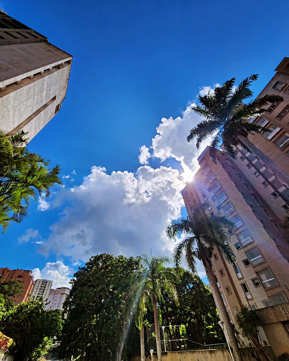 CeeReO2Ve's tweet image. Ccs y sus perspectivas.