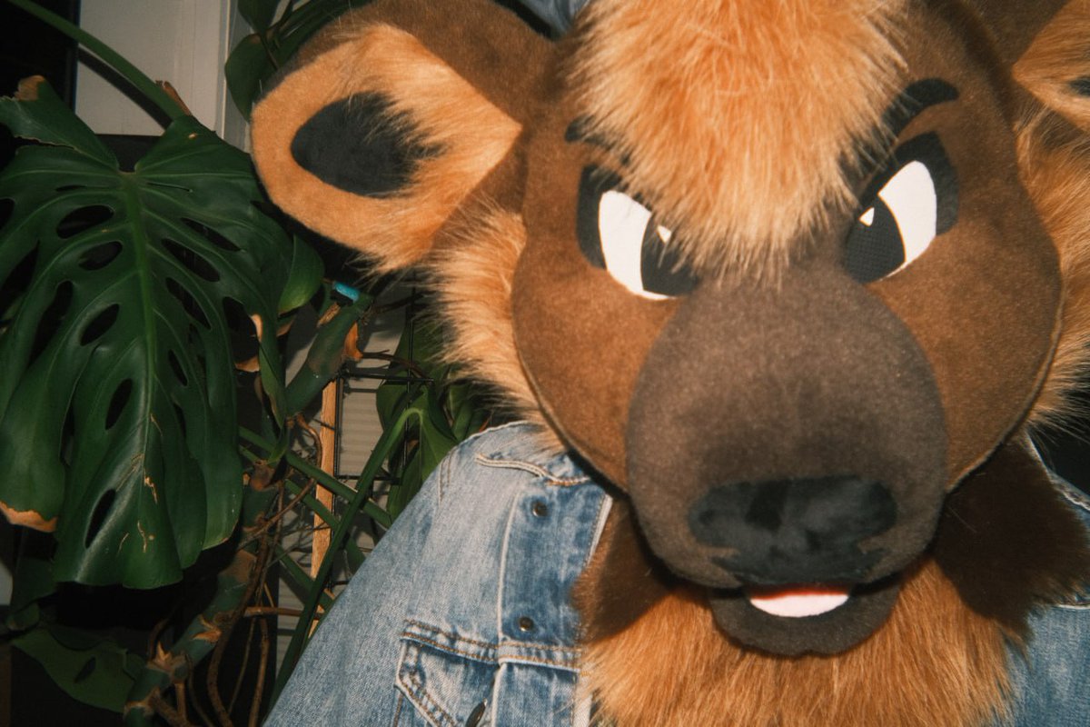 briar bramble tweet media