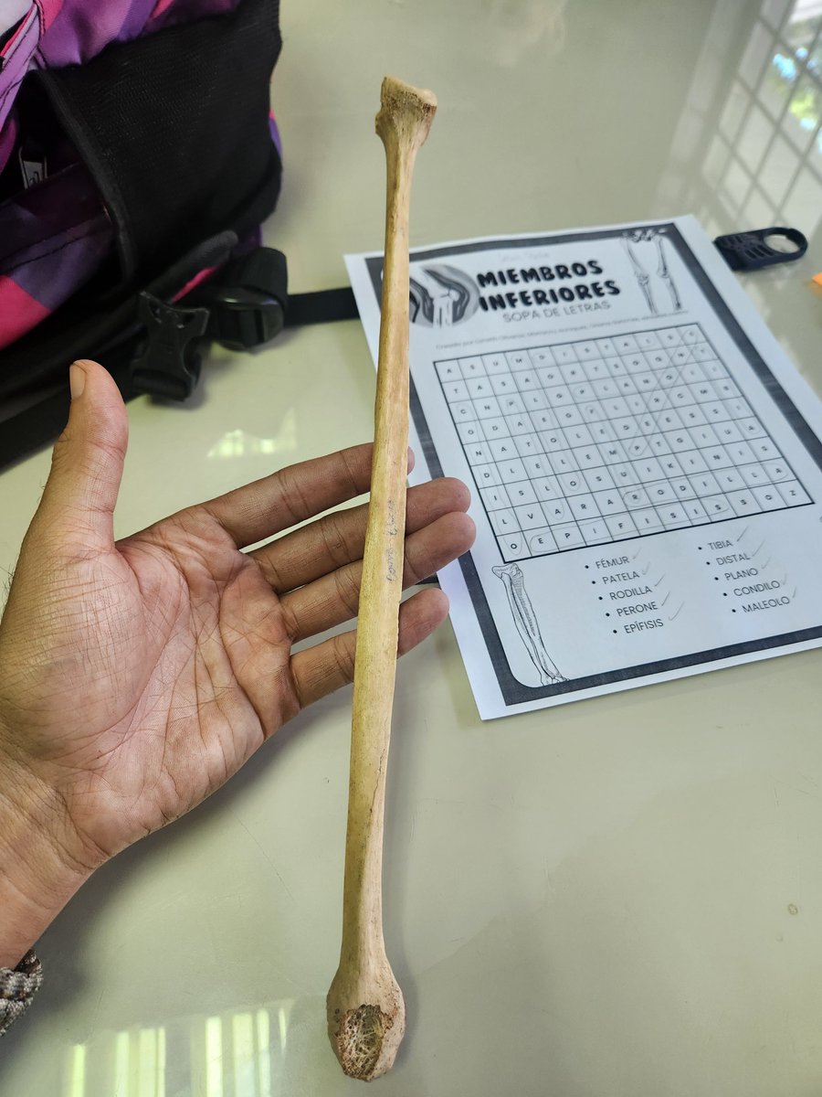 CeeReO2Ve's tweet image. El antropologo antropologiando.