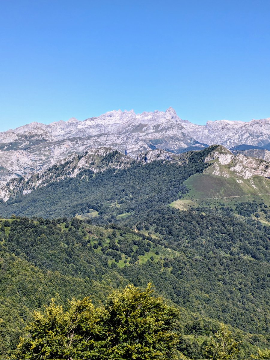 DavidAlonsoMed's tweet image. Hay sitios con vistes guapes... y luego está #Ponga😍
#Asturies 💚🩶💙
