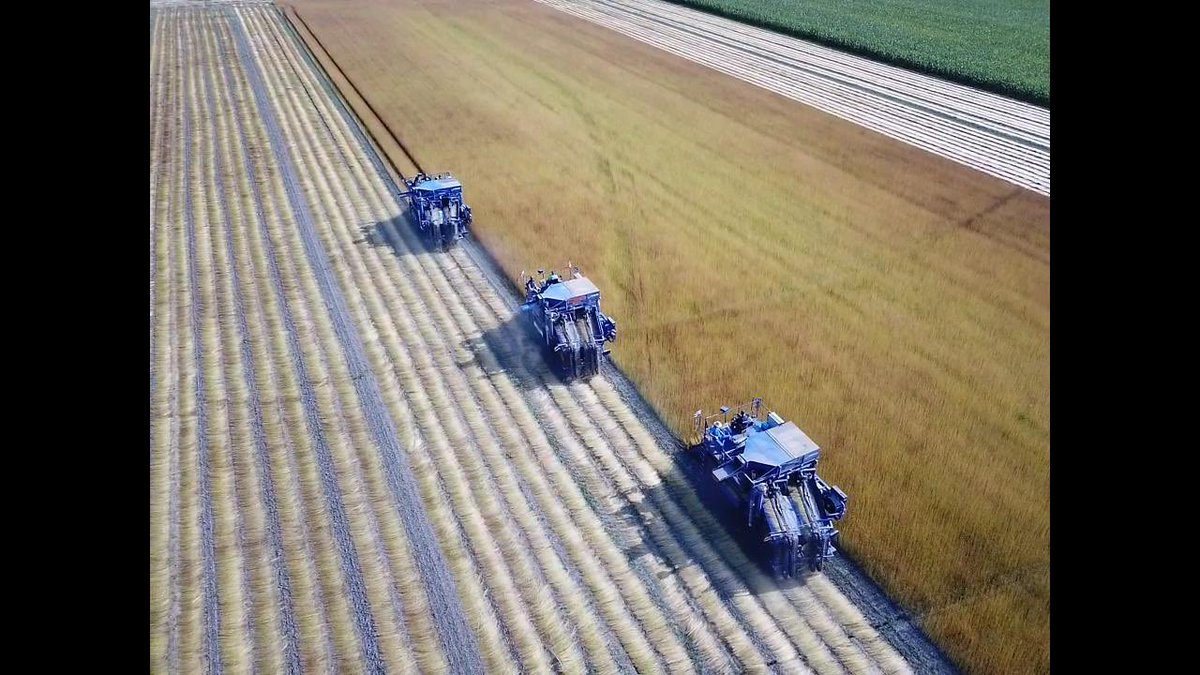 Timmers Agro Service tweet media