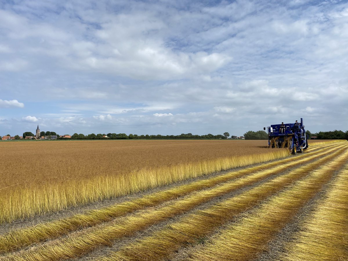 Timmers Agro Service tweet media