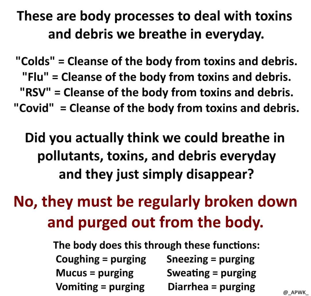 ViroLIEgy's tweet image. Sharing a little common sense for today.