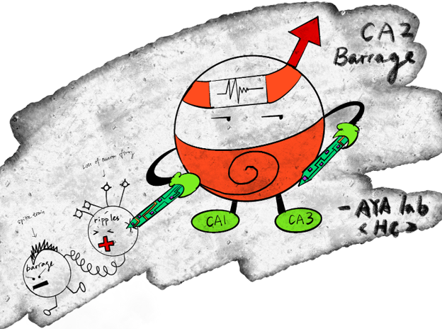 Lindsay Karaba tweet media