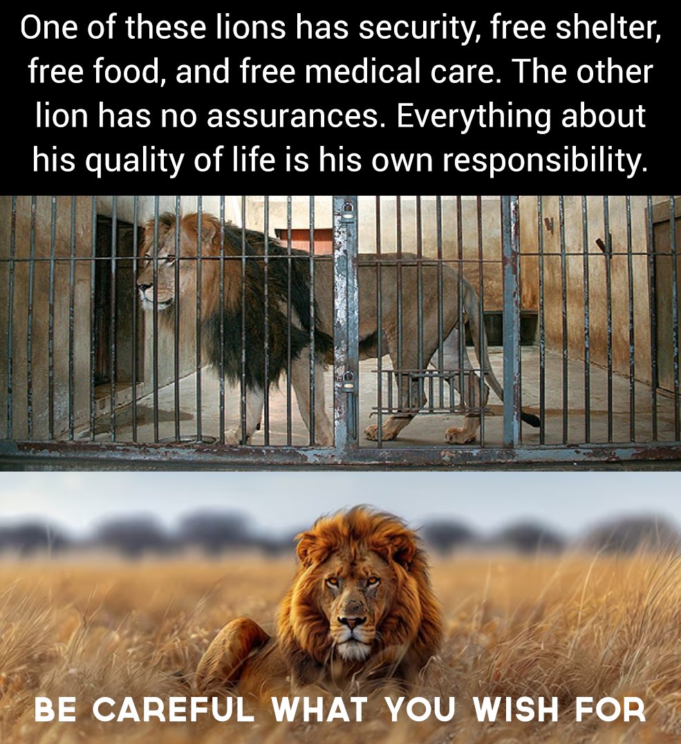 beinlibertarian's tweet image. 