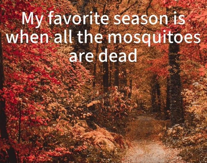 My legs are covered in their bites. You should come see me 😩😩 https://t.co/g1KEytmxEC<a href="/tag/mood"class="tags"><span>#mood</span></a><a href="/tag/selflove"class="tags"><span>#selflove</span></a><a href="/tag/feelings"class="tags"><span>#feelings</span></a><a href="/tag/memes"class="tags"><span>#memes</span></a><a href="/tag/emotionalrollercoaster"class="tags"><span>#emotionalrollercoaster</span></a>