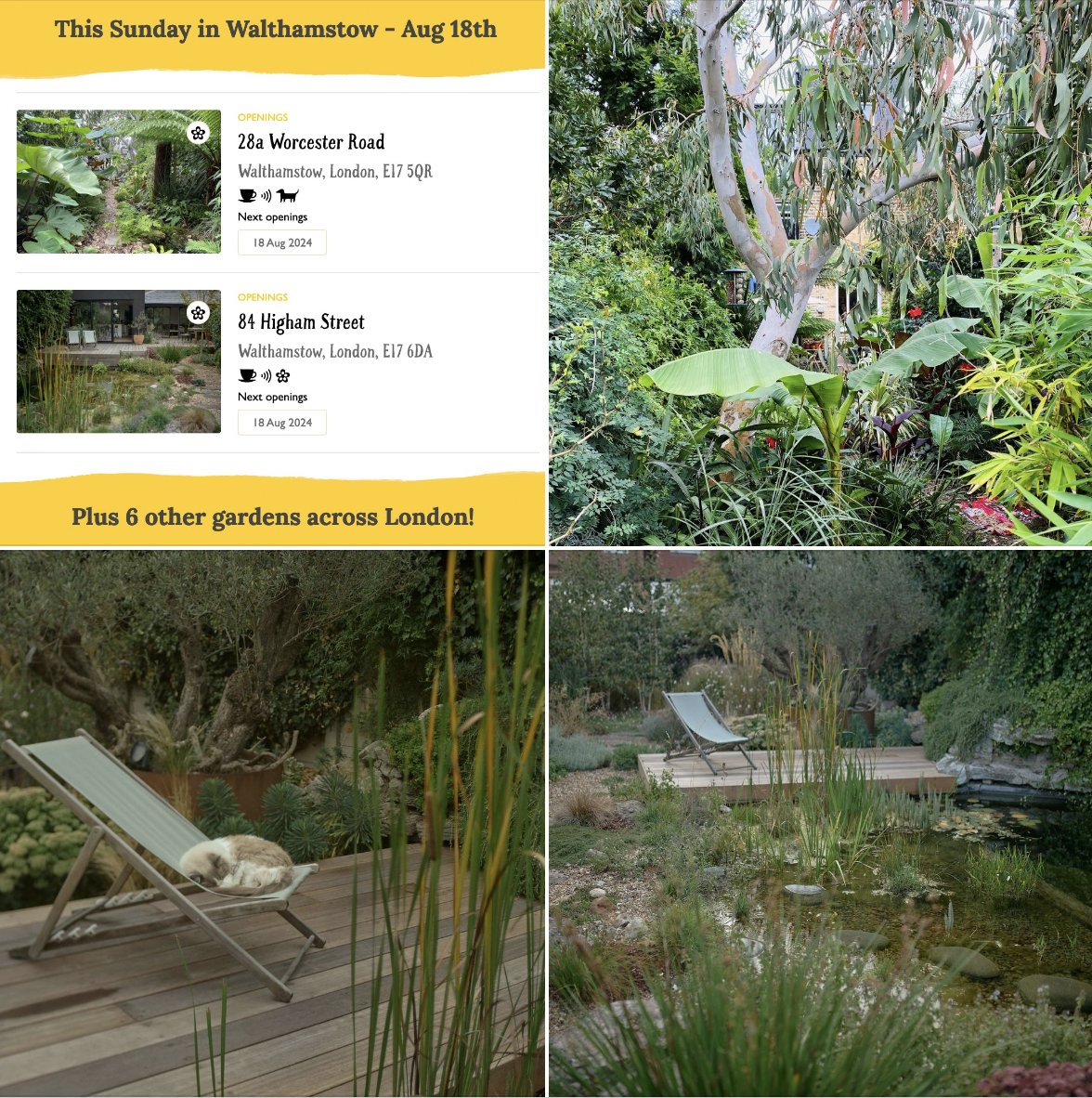 London National Garden Scheme tweet media