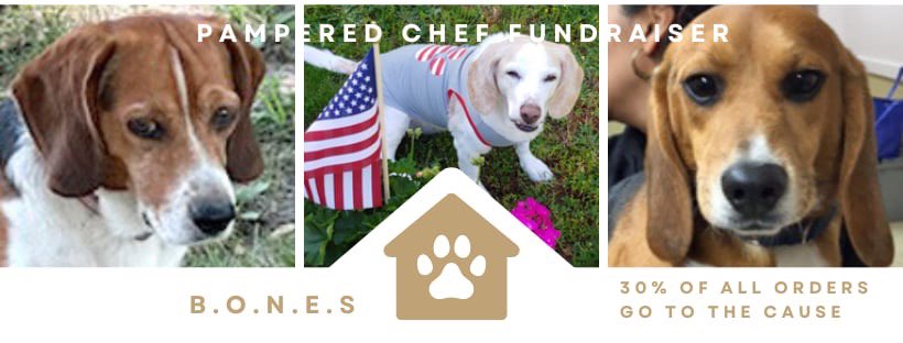 📣Attention beagle lovers! Pampered Chef is doubling donations to B.O.N.E.S. in August! Up to 30% of sales will go towards helping beagles! Check out the deals here: table.pamperedchef.com/party/1327770j… #PamperedChef #BeagleRescue #beaglesoftwitter