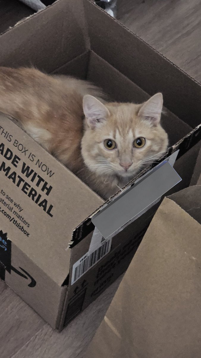 Content from elabunny