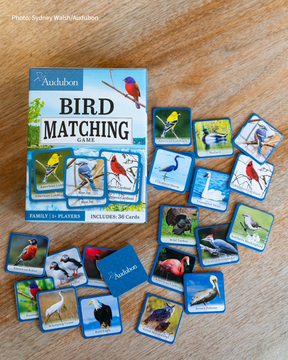 There's no better way to spend a family game night than with the Audubon Bird Matching Game. Gather your friends and see who can collect the most matches by the end of the game—may the best bird watcher win! bit.ly/4c7oUGi