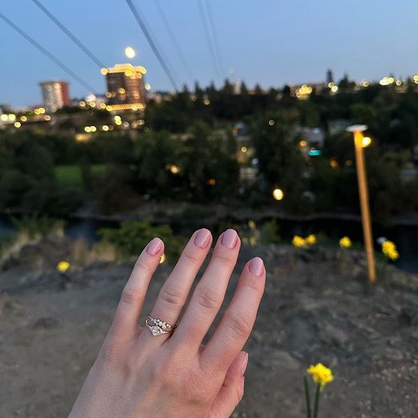 Daniel Walters tweet media