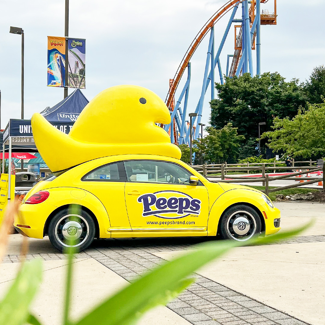 Dorney Park tweet media