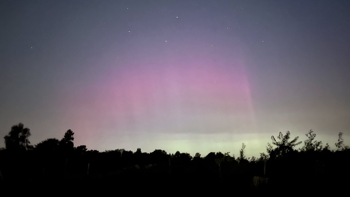 Dans le ciel suédois ce soir, des aurores très timides à l’œil nu mais jolies en photo (pause de 10 sec). 
On est vraiment gâtés depuis notre arrivée 🤩🥹🇸🇪

#Aurora #aurores #auroreboreale #northernlights