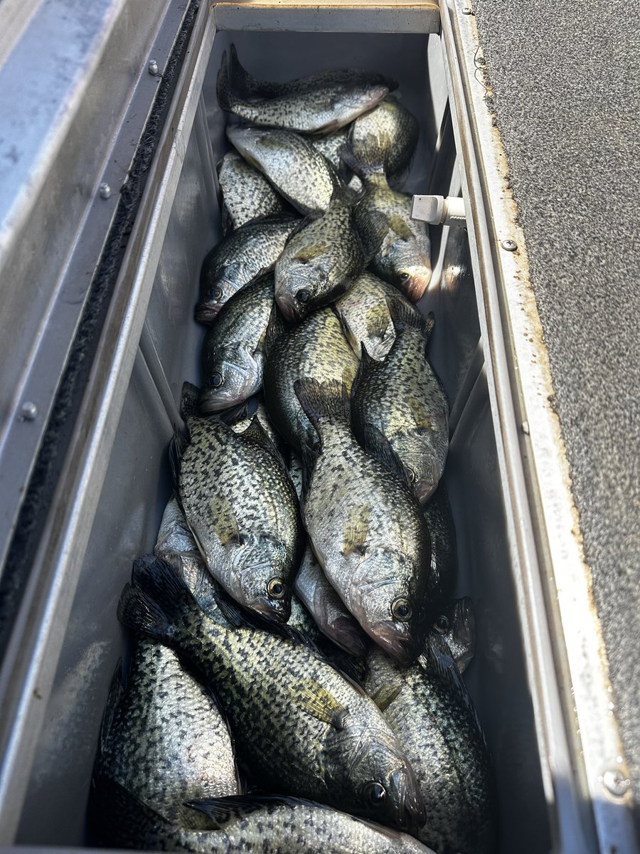 Bstubbz25's tweet photo. Leroy and I got it done today . https://t.co/p6T1NP26I8