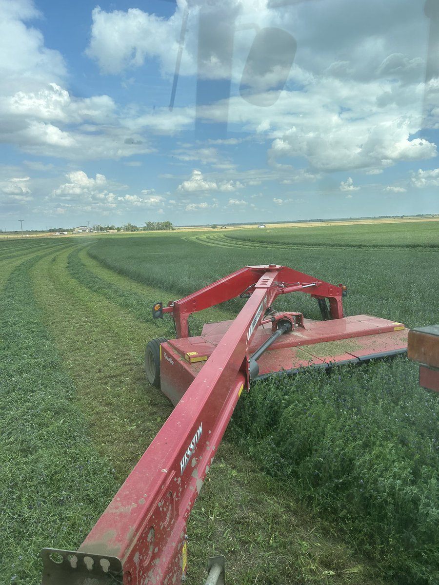 Jason Hale (@jasonhaleab) on Twitter photo It’s time to knock the 2nd cut down and make some more winter feed. <a href="/AlbertaAg/">Alberta Agriculture and Irrigation</a> It’s time to knock the 2nd cut down and make some more winter feed. <a href="/AlbertaAg/">Alberta Agriculture and Irrigation</a>