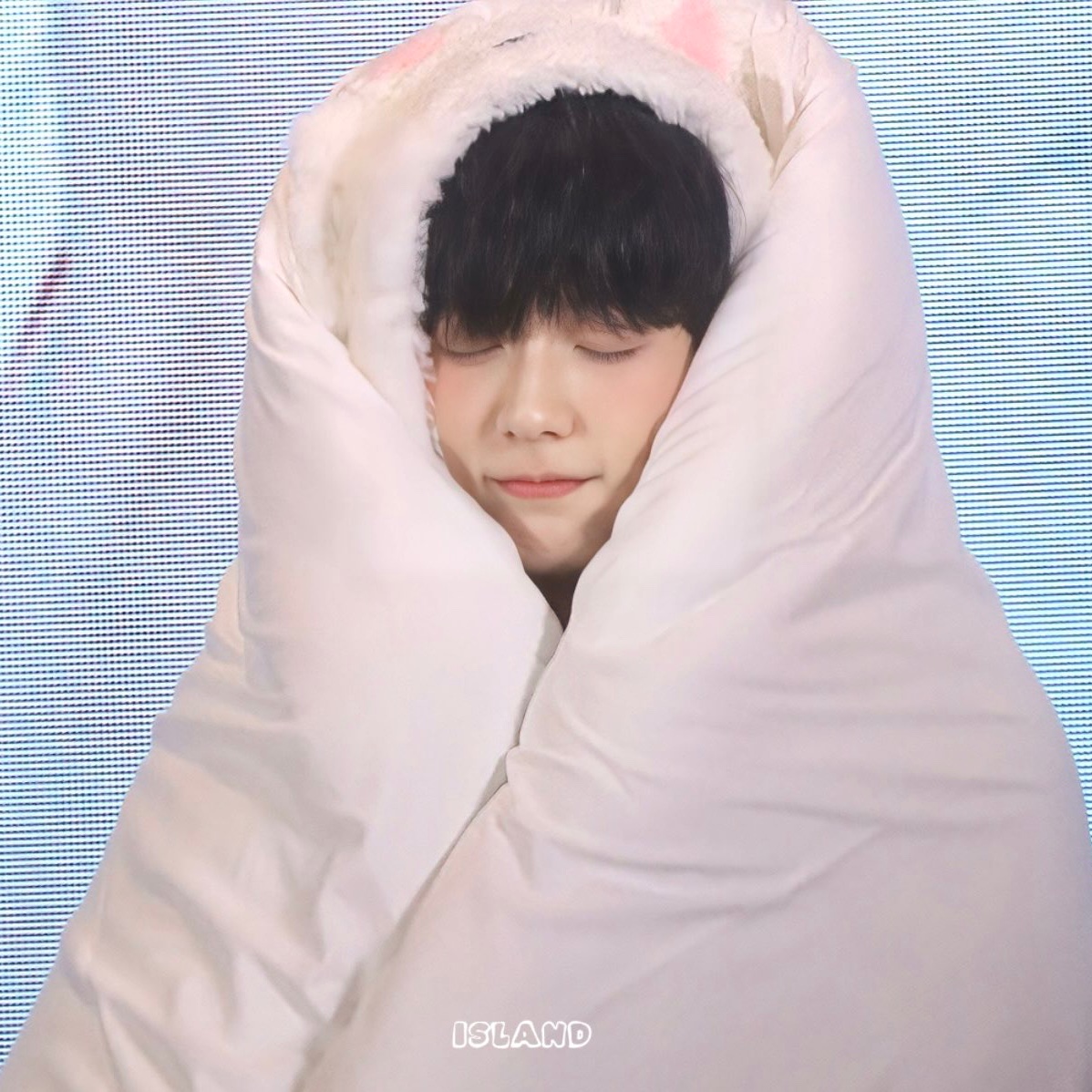 csbshour's tweet image. fluffy soob