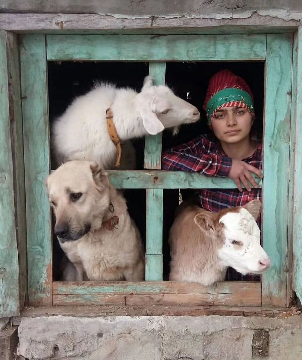 Rizeli çoban Hamdu Sena'nın paylaştığı fotoğraf: