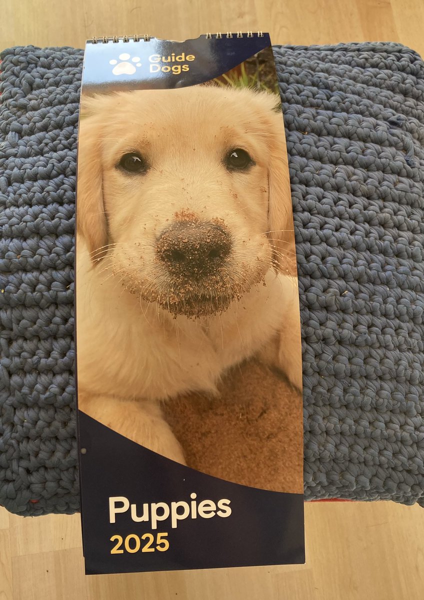BaileyGuide's tweet photo. @guidedogs 2025 puppy calendar. July is Gemma who is Bailey’s puppy raiser’s current pup. She also thinks the cover star could be Bailey? https://t.co/yHCmSZxTtC