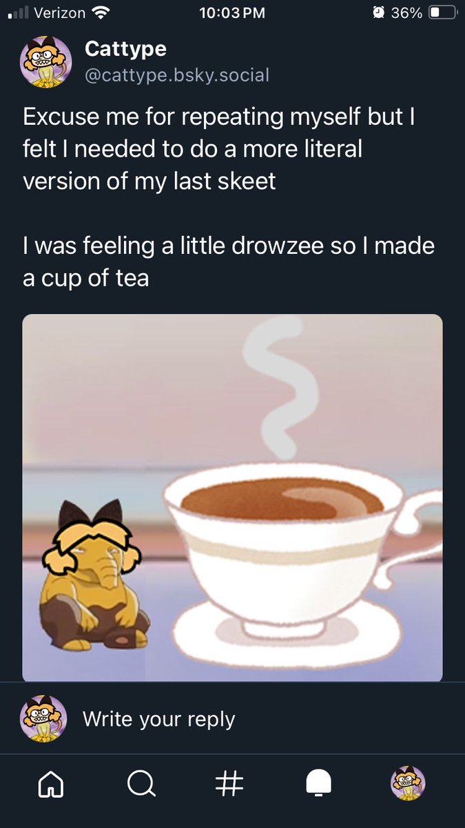Cattype tweet media