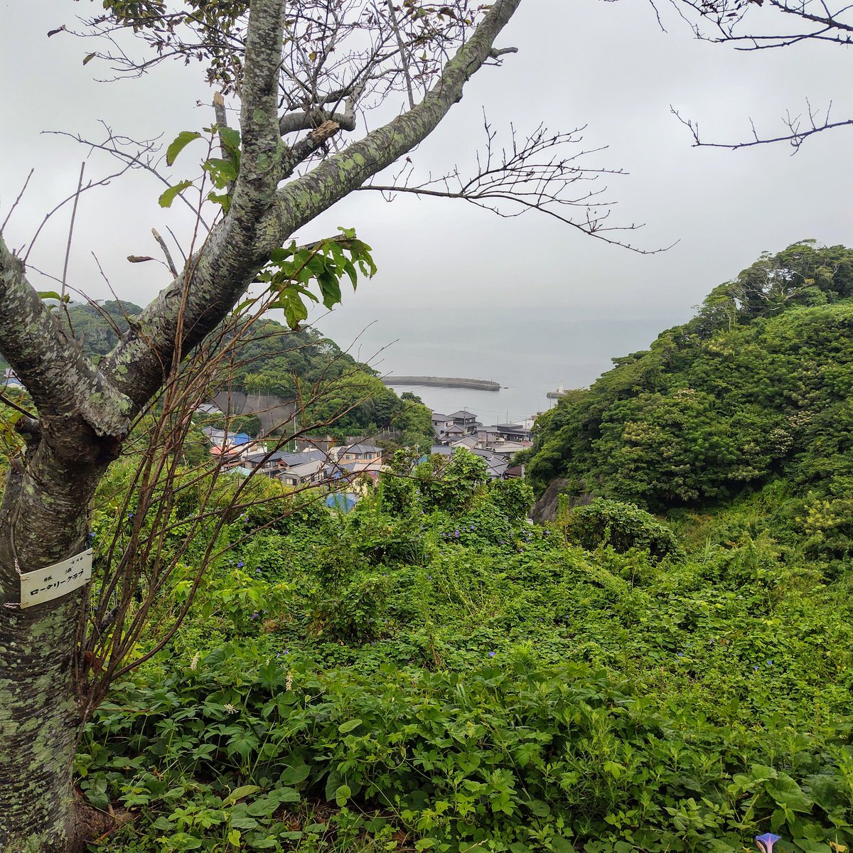 hidemaro_ymda's tweet photo. 湿度高過ぎ　やっぱりエアコンON https://t.co/8Igq2LoxOB