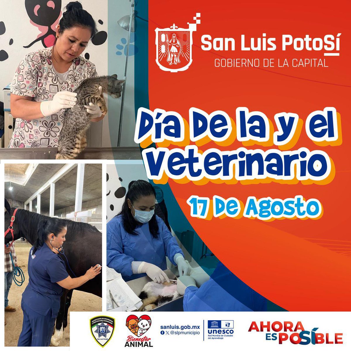 Bienestar Animal Municipal SLP tweet media