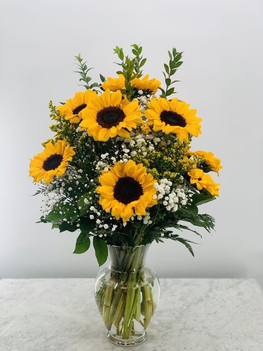 SUNFLOWER 🌻 tweet media