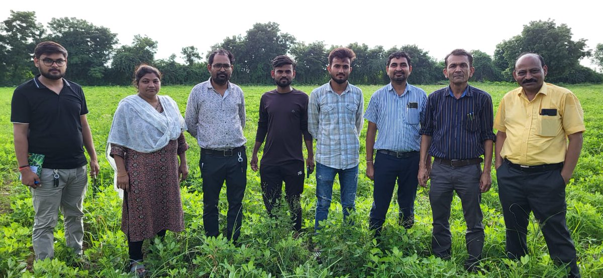 ડિજિટલ ક્રોપ  સર્વે અંતર્ગત સરકારશ્રી દ્વારા ખેડૂતોના દરેક ખેતરમાં કયા કયા પાકોનું કેટલા વિસ્તારમાં વાવેતર થયેલછે તેની મોજણી(સર્વે)મોબાઈલ એપના માધ્યમથી કરવાનું નક્કી કરેલ છે.જે અન્વયે પાટણ જિલ્લામાં ડિજિટલ ક્રોપ સર્વેની કામગીરી શરૂ કરવામાં આવી.<a href="/CMOGuj/">CMO Gujarat</a> <a href="/InfoGujarat/">Gujarat Information</a> <a href="/InfoPatan/">Info Patan GoG</a>