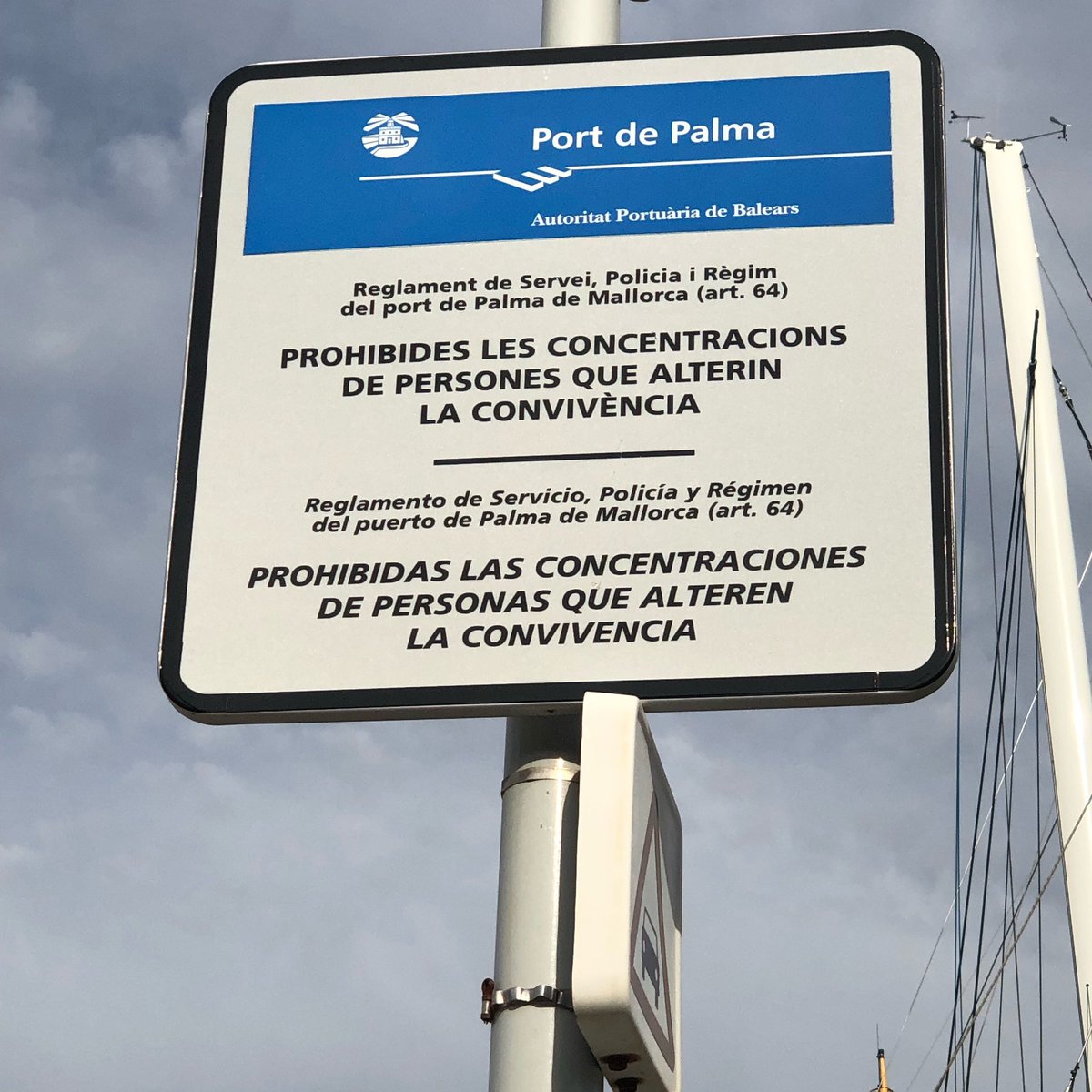 PoliciAPB_SPPLB's tweet image. Actuaciones #PoliciaPortuaria👮‍♂️#Palma este viernes y sábado noche:

👉14 actas por alterar la convivencia - botellón

👉31 denuncias de Ordenanza Circulación, destacando

⛔️Circular en dirección prohibida 
♿️Estacionamiento en reservado PMR
🚫Estacionar en carriles de circulación