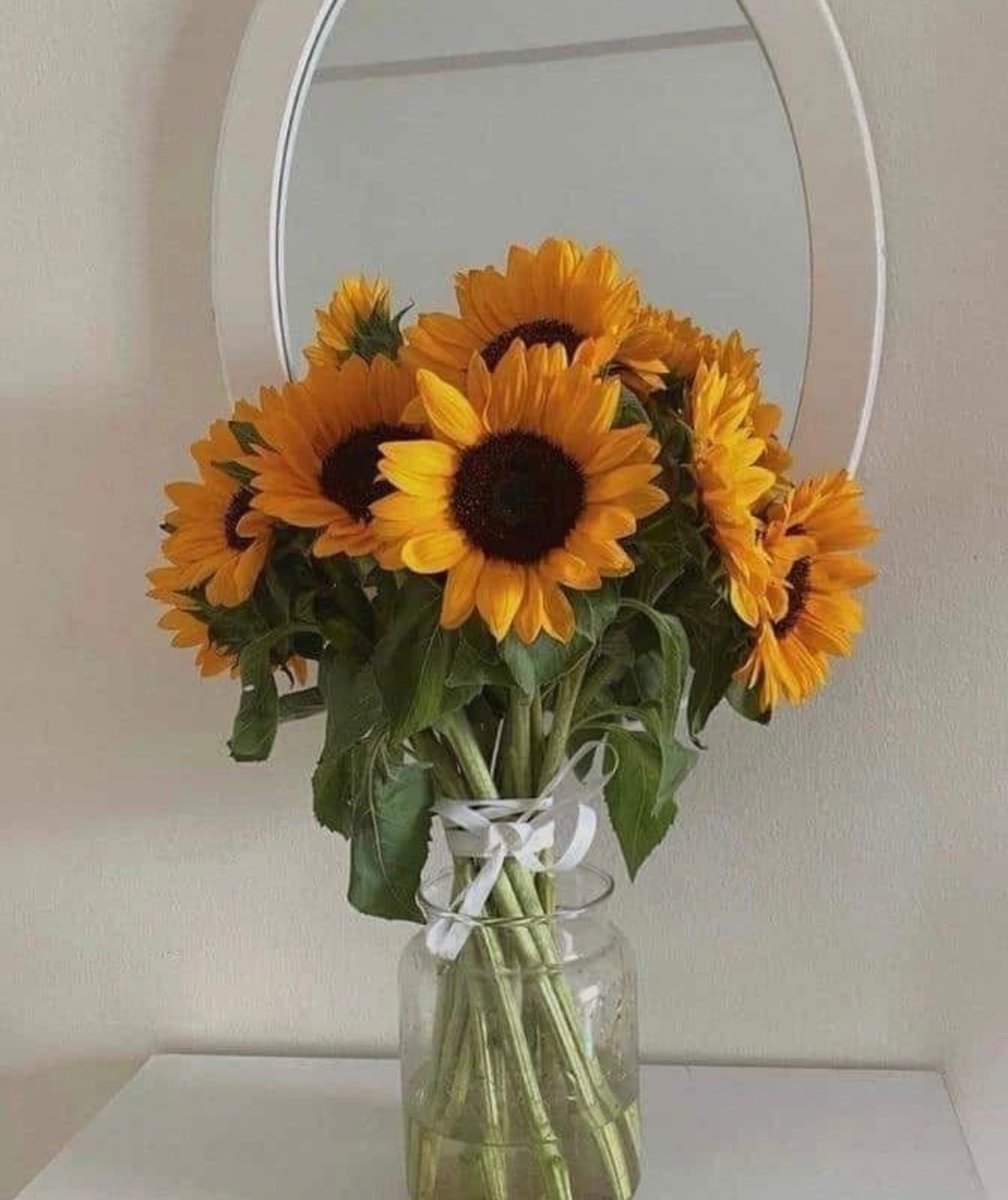 SUNFLOWER 🌻 tweet media