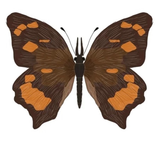 Endemic to the beautiful island of Mauritius, this fragile one once graced the landscapes of this enchanting island. 

Extinct and gone forever, this is one of many losses in nature we can't restore.